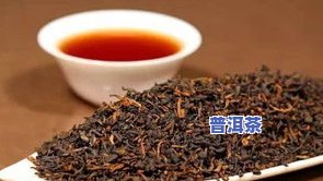 普洱茶分类详解：了解普洱茶的种类、类型和区分方法