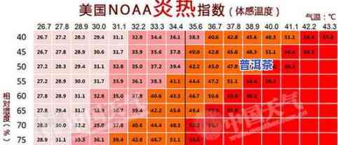 茶叶100g是多少两？详细解析换算方法