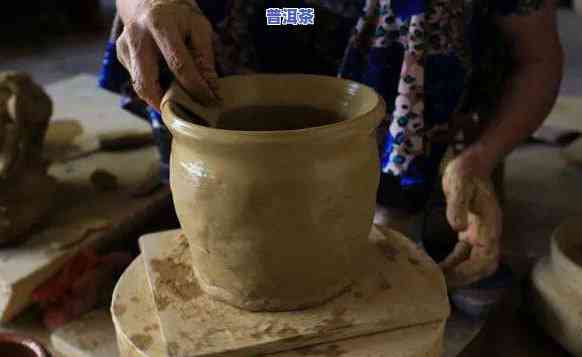 雨林普洱茶王朝-普洱茶 雨林