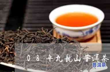 普洱茶50年：价值与价格解析