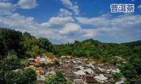 普洱茶产地古村：探寻最古老的茶叶种植地