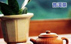 茶叶200克是几两-茶叶200克是几两茶