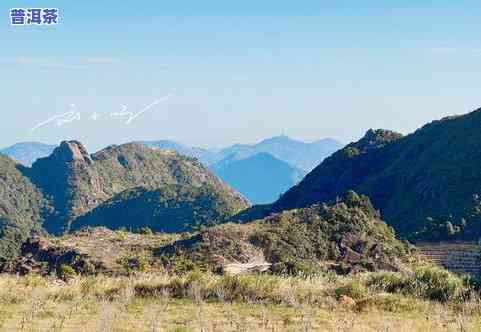 仪征茶叶哪座山最出名？探寻仪征名茶的起源地与美景