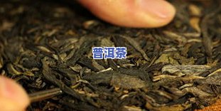 普洱茶出现虫卵-普洱茶出现虫卵还能喝吗