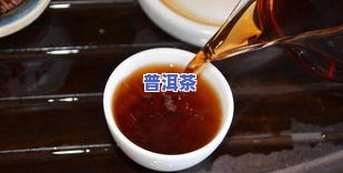 普洱茶小马哥：图片、抖音短视频与小妹分享的吃草普洱茶饼