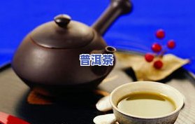 普洱茶小马-普洱茶小马哥