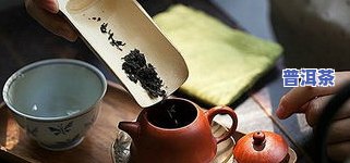 普洱茶多久开箱看一次-普洱茶多久开箱看一次好