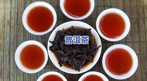 云南马鞍山普洱茶：生茶、古树茶价格全解析