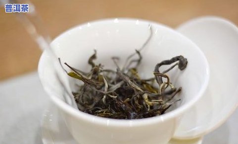 云南马鞍山普洱茶：生茶、古树茶价格全解析