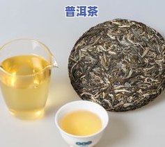 普洱茶马鞍山生茶：品种、价格与特点全解析