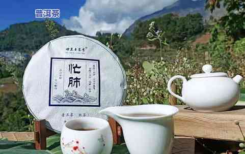 鞍山普洱茶-云南马鞍山普洱茶