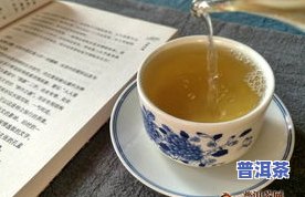 鞍山普洱茶-云南马鞍山普洱茶