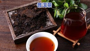 云南普洱茶英文介绍：探索古老茶文化的魅力