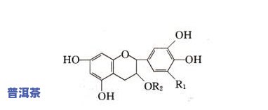 茶叶中茶多酚含量一般每公斤多少毫克？计算公式与适宜范围全解析