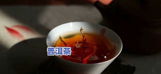 普洱茶企助农增购买视频-普洱茶农直销