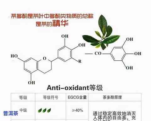 茶叶黄酮类物质含量-茶叶黄酮类物质含量计算方法