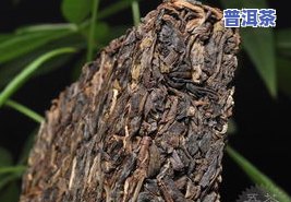 易武古树普洱茶-易武古树茶价格