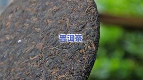 易武古树普洱茶-易武古树茶价格