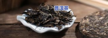 普洱茶出产于云南：揭秘其最适宜生长之地