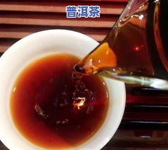 普洱茶小黄虫：还能喝吗？有吗？看图、视频解析