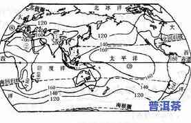 弯弓普洱茶：地理位置、特点及价格介绍，口感解析与百科全书