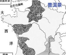 冰岛普洱茶核心产区全揭秘：哪些城市是主要产地？