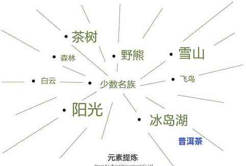 冰岛普洱茶：产地、特点与分类全解析