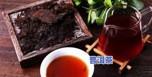 普洱茶每次喝不一样正常吗？原因解析与冲泡建议