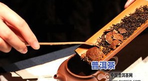 喝普洱茶之一遍必须倒掉吗？原因解析与观点探讨