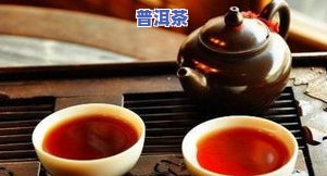 大顺普洱茶-顺宁普洱茶