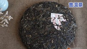 云南秘境古树春普洱茶-秘境古树茶价格