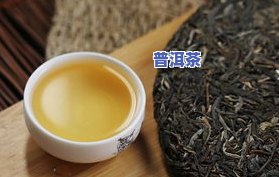 北人普洱茶-北人茶叶