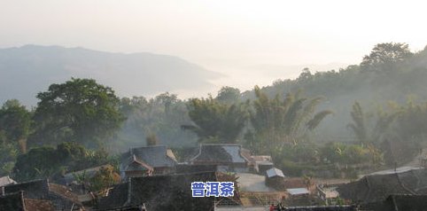 瓦寨山冰岛普洱茶价格多少？一盒多少钱？瓦寨山出品，质量有保障！