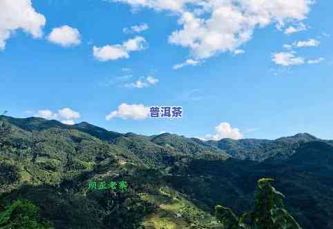 瓦寨山冰岛普洱茶价格多少？一盒多少钱？瓦寨山出品，品质有保障！