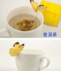 皮包普洱茶简介：了解普洱茶茶包制作与功效