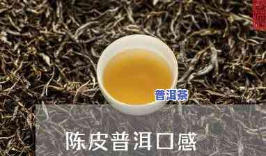 皮皮普洱茶-播放陈皮普洱茶