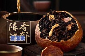 皮皮普洱茶-播放陈皮普洱茶