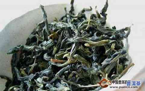 云南文山的茶叶是什么茶？详解其种类与特点
