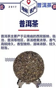 文山普洱茶特点-文山普洱茶特点介绍