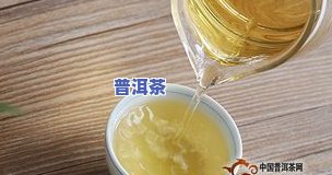 文山普洱茶特点-文山普洱茶特点介绍