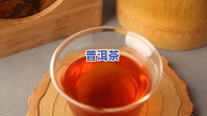 梅江普洱茶：品种介绍与价格一览