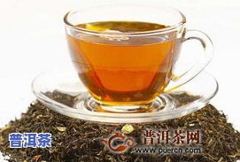 什么普洱茶属于熟茶的一种-什么普洱茶属于熟茶的一种茶