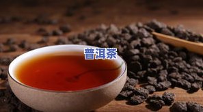 什么普洱茶属于熟茶的一种-什么普洱茶属于熟茶的一种茶