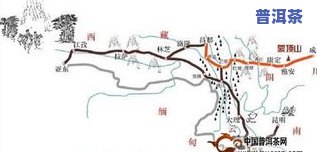 普洱茶大雪山：特点、产区与价格全解析