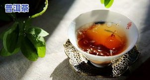 普洱茶条形特点-普洱茶条形特点是什么