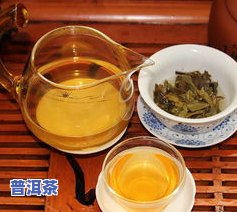 普洱茶条形特点-普洱茶条形特点是什么