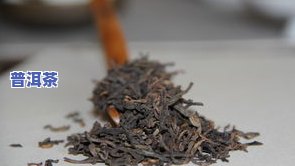 普洱青毛茶：生茶还是熟茶？探讨其品种与特点