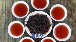 普洱青毛茶：种类、价格与特点全解析