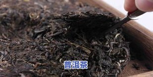 普洱青毛茶：种类、价格与特点全解析