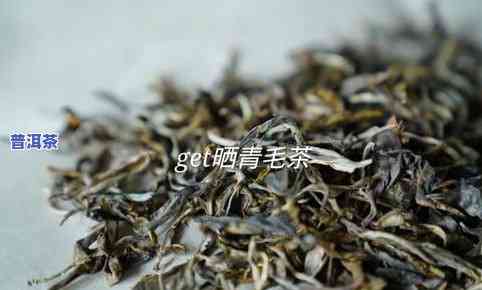 普洱茶可以用青毛茶吗-普洱茶可以用青毛茶吗为什么